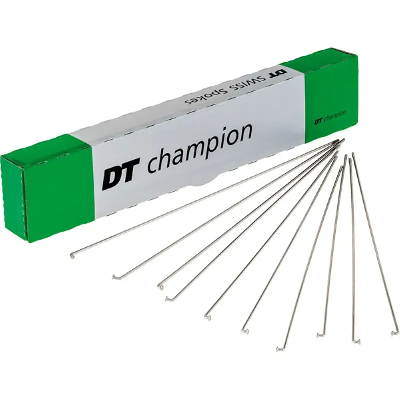 DT Swiss Champion 100-pack Silver Spokes - 2x267mm