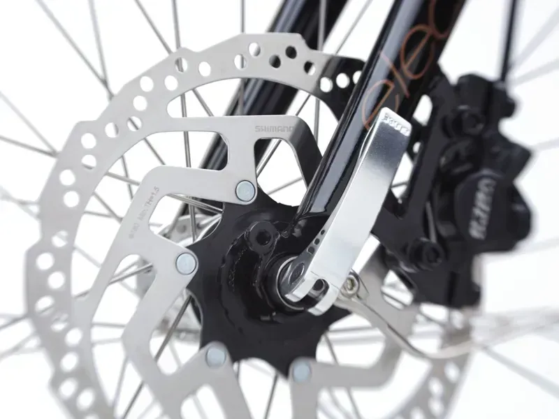 Electra Townie Go! 5i Step-Over E-Bike in Ebony-1