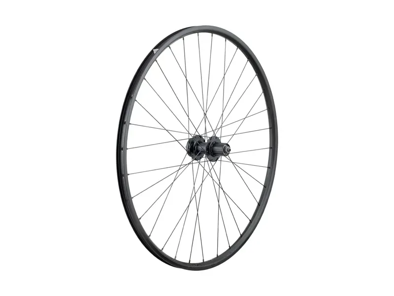 Bontrager Connection/DC22 29-inch 32-hole DB Road Rr. Wheel in Black